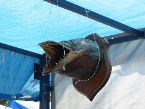 IMG_0069.JPG