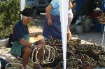 IMG_0077.JPG