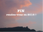 26 fin-fin